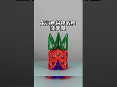 동물과 식물을 위한 다재다능한 모양의 자석 타일 조립